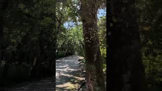 #compostela #santiagodecompostela #galicia #galiciacalidade #travel #ciudadesdelmundo #galiciamola