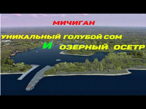 Fishing Planet Мичиган Уникальный голубой сом и озерный осетр