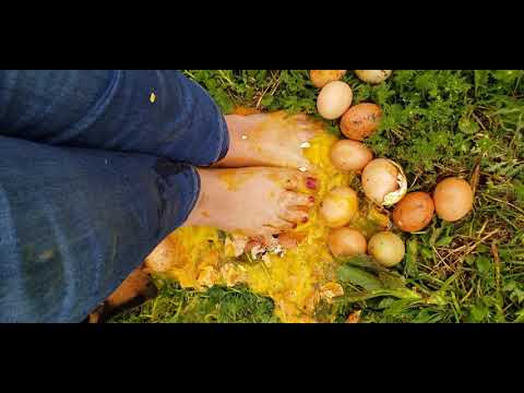 Squishing Eggs Barefoot On The Farm. Subscriber Special.