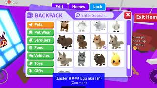 I got SCAMMED for my GOLDEN RAT