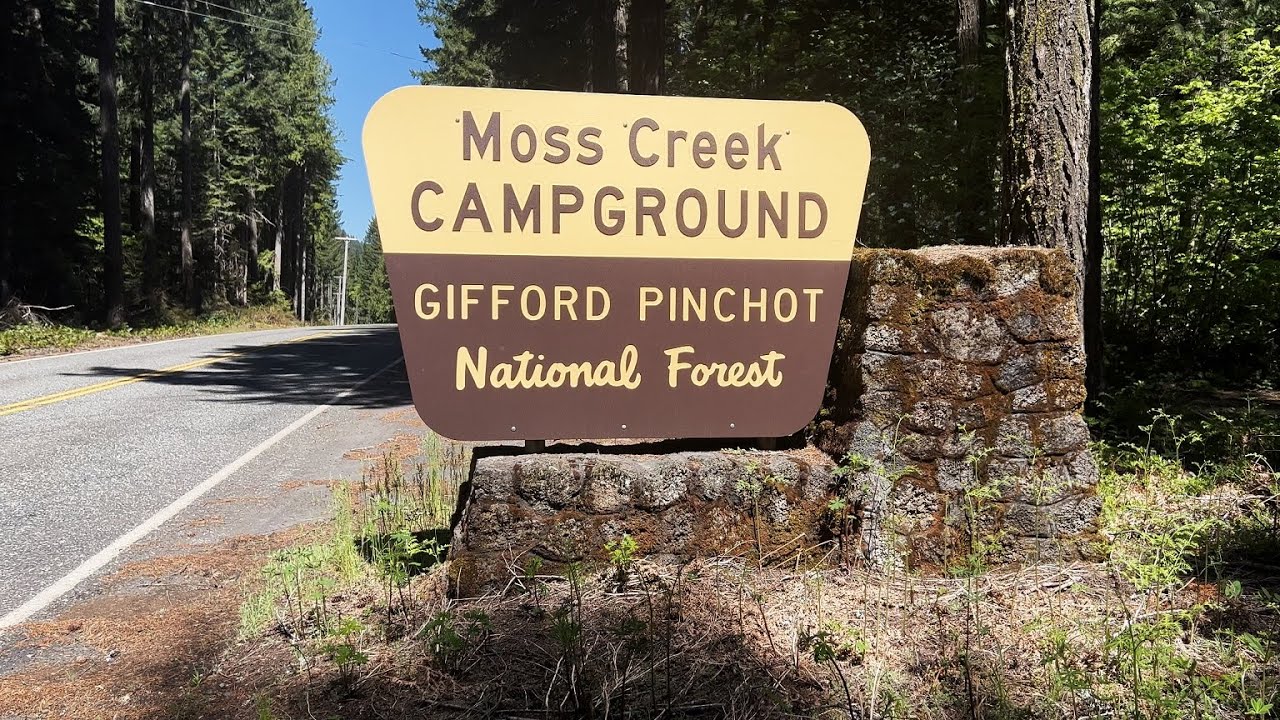 (4K UHD) REVIEWING EACH CAMPSITE @ Moss Creek Campground | Little White Salmon River Gifford Pinchot