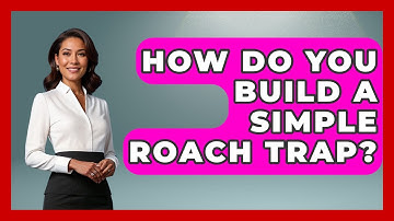 How Do You Build A Simple Roach Trap? - Insects and Invaders