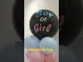 GENDER REVEAL BACKDROP | #genderreveal #balloon #viral #shortvideo