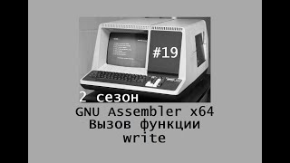 GNU Assembler x64. Сезон 2. Вызов функции write