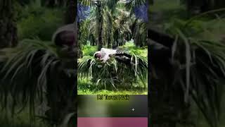 Dj Turun Naik Oles Ngana  Jedag Jedug  Bass Viral Tiktok 2026