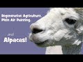 Regenerative Agriculture, Plein Air Painting, and Alpacas!