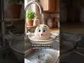 Genius kitchen lifehacks ✨