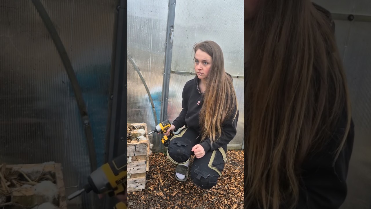 Can't use power tools!?