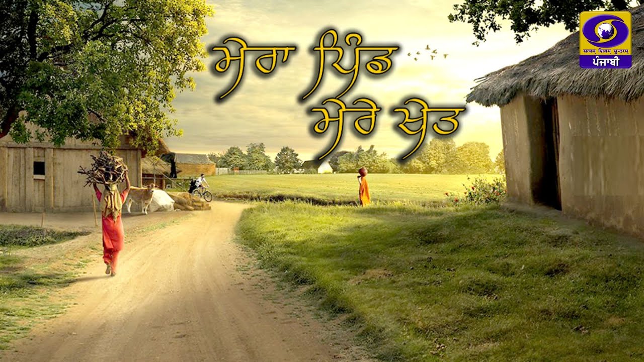 Mera Pind Mere Khet II ਕਿਨੂੰ ਦੀ ਤੁੜਾਈ ਪੈਕਿੰਗ ਅਤੇ ਮੰਡੀਕਰਨ II 16 January 2026 II DD Punjabi