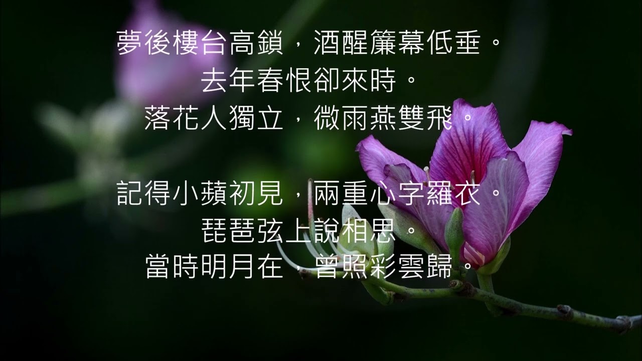 ＃晏幾道 ＃臨江仙 讀誦  …落花人獨立，微雨燕雙飛。…當時明月在，曾照彩雲歸。