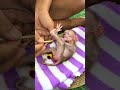 #adoreble #babymonkey #adorably #babyprimate #cute #babyanimal #animals #cuteanimal #funny #cutepet