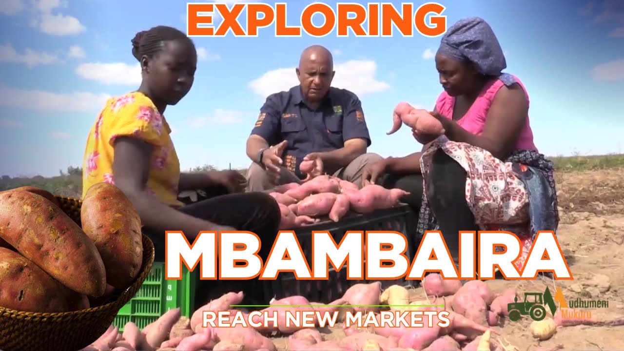 Dzakabikwa Kare! | Kubika Mbambaira Pamugwagwa