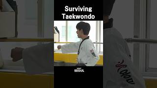 The Korean Taekwondo Survival Guide