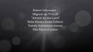 Robert Schumann : Mignon op.79 nr.29 " Kennst du das Land"