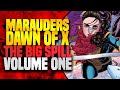 Marauders ( The Big Spill ) Volume One