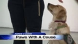 Force 4 Good: Paws with a cause
