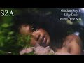 SZA- Garden (Say It Like Dat). Right Here Mix