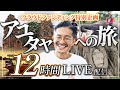 12時間リアルタイム旅行!タイ国鉄で行くアユタヤ遺跡探訪&象乗りetc