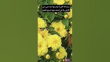 لا تترك أذكار الصباح والمساء 👂 👂 واضب عليها #صلوا_على_النبي #اكسبلور