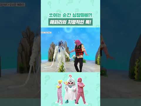 바다에서 만나는 투명한 ‘천사’의 소름 돋는 반전 정체…😇❌ #해파리 #shorts