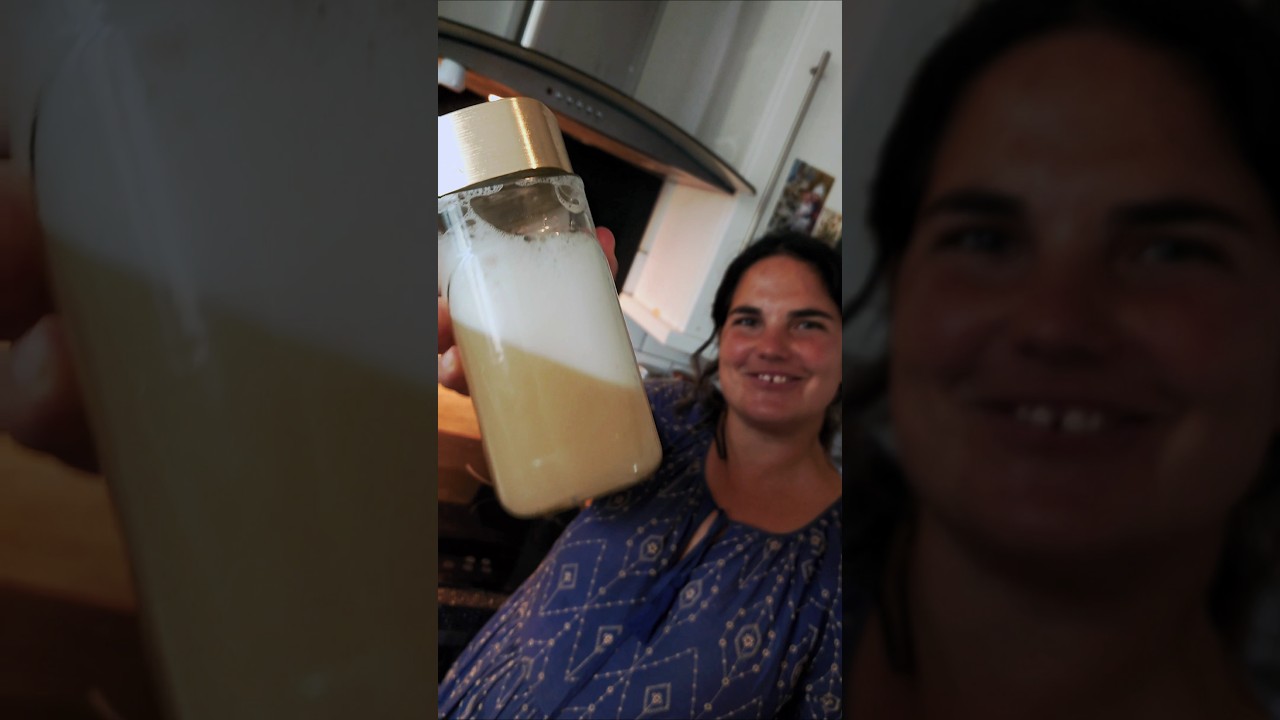 Мыло для стирки Conker – экологически чистое моющее средство от природы! 🧼🫧 