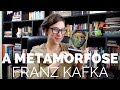 A Metamorfose - Vamos falar sobre Kafka?