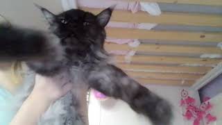 I'm a fan of freya sky of couseeeeeeee