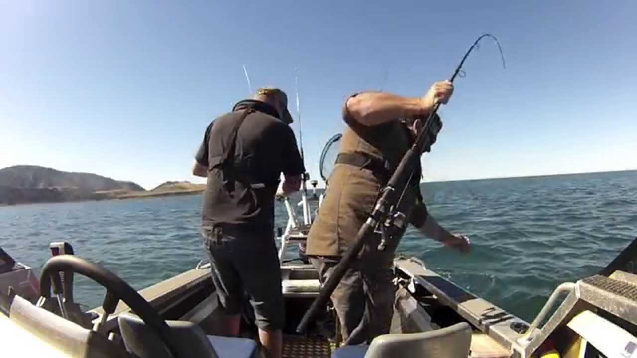 Tarakihi Fishing, Wellington New Zealand YouTube
