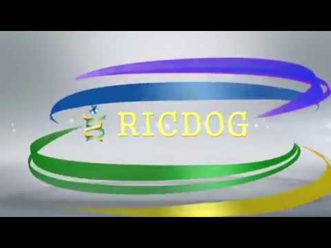 RICDOG - მოქმედების დღეები