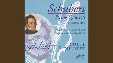 Quartet in G minor, D173: Allegro con brio