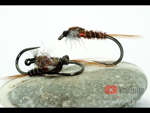 Muskins Nymph