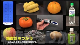 糖度計をつかう　いろいろな食材の糖度を測定する