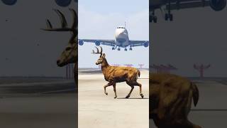A380 Airbus Landing Gets Interrupted By Wild Deer-Gta5