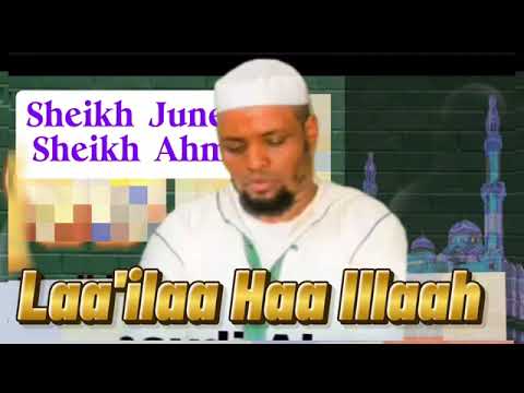 Sheikh Juneeydii Sheikh Ahmad Beautiful Duet Lifeisbutadream