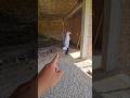 itu apa loncat loncat dirumah kosong #trandingshorts