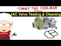 IAC Valve Testing and Cleaning