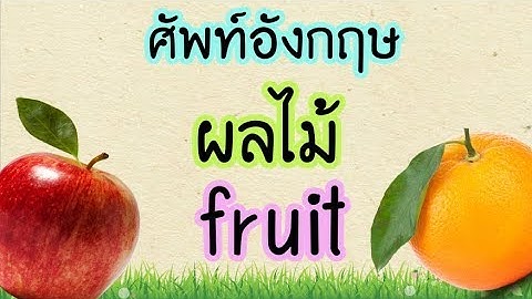 คำศัพท์ ผลไม้ ภาษาอังกฤษ Fruit