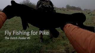 Deze SNOEK was DIK! | Fly Fishing for Pike in a Dutch Polder #5 (subtitles)