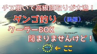 【ダンゴ釣り】6回目のチヌダンゴ釣り、（後編）初の県外遠征は高級餌取りでパンパンだ！