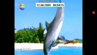 show TV reklam jeneriği (2009) Resimi