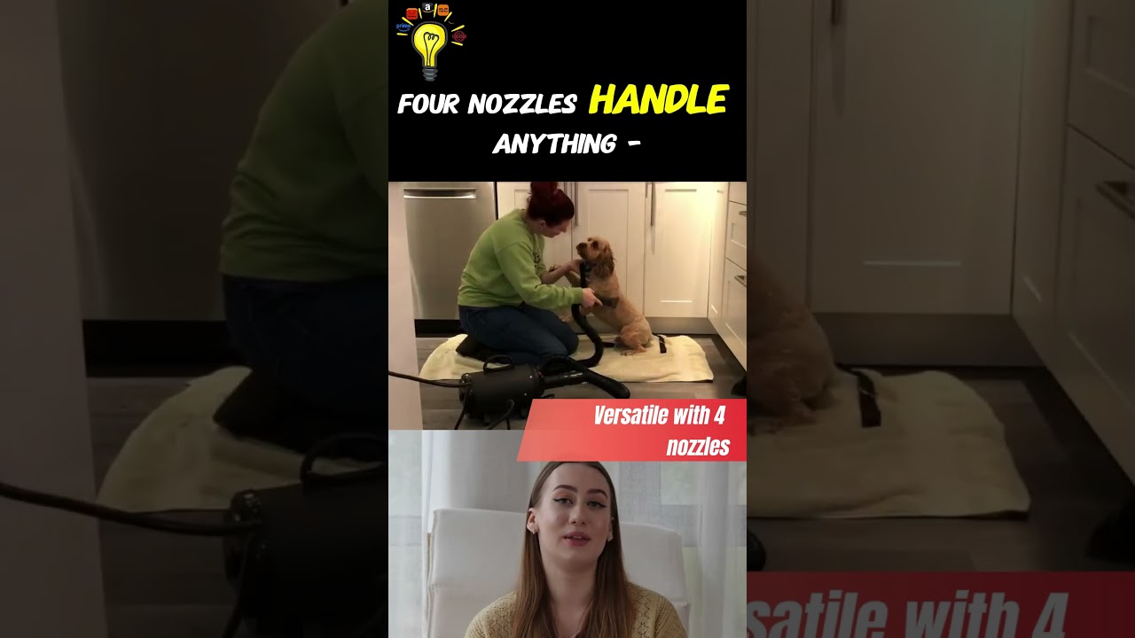 "Upgrade Your Grooming Game! 🐾💨 Quick & Quiet Dog Dryer 😍"