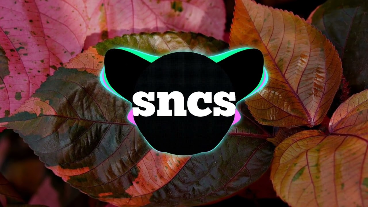 Waeoo & Daoun Re tjjj - (sncs song) - no copyright music 