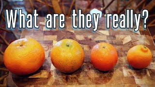 MANDARINS are Different Things - Comparing Clementines, Tangerines & Satsumas- Weird Fruit Explorer