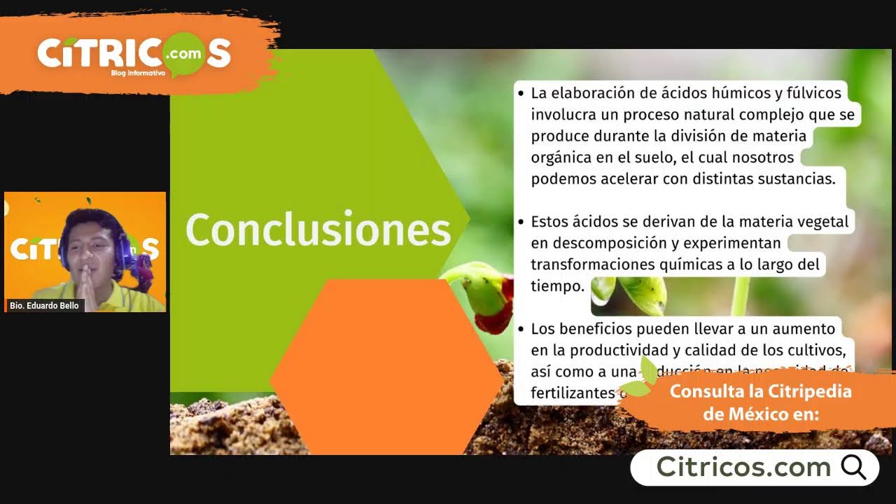 Generación de ácidos Húmicos y Fúlvicos. 🧪👨🏻‍🌾