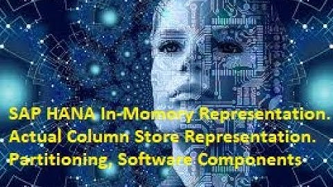 SAP HANA, ABAP on HANA, Representation of Data in Main Memory, Actual Column Store in Memory.