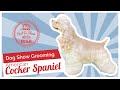 Dog Show Grooming: How to Groom an American Cocker Spaniel の動画、YouTube動画。