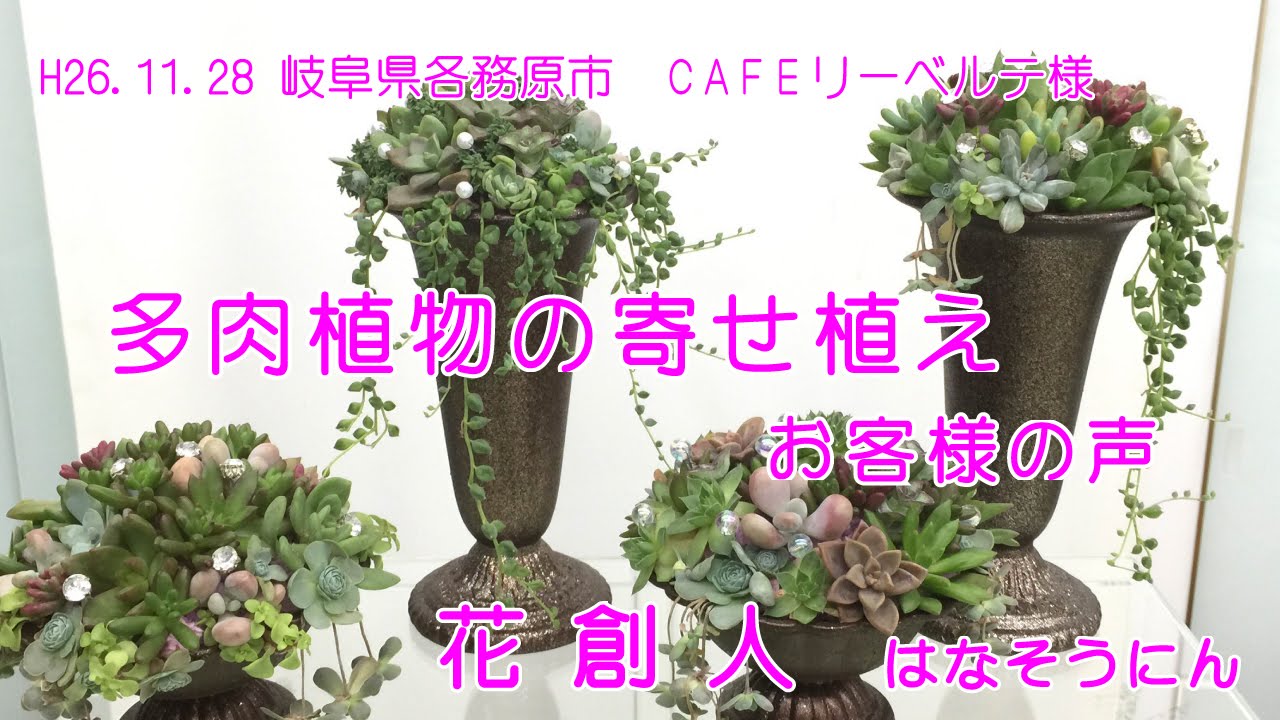 土を使わない多肉植物の寄せ植え プランツギャザリング寄せ植え教室をお探しの方へ愛知岐阜など全国からお越しいただいています