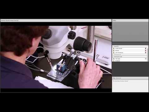 Data Acquisition and Recording with Warner's TEV-700 Oocyte Workstation - video from Warner Instruments