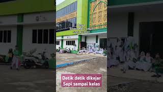 Download Lagu day 1 dikejar sapi #idhuladha#dikejarsapi#core #ngakak #lucu MP3