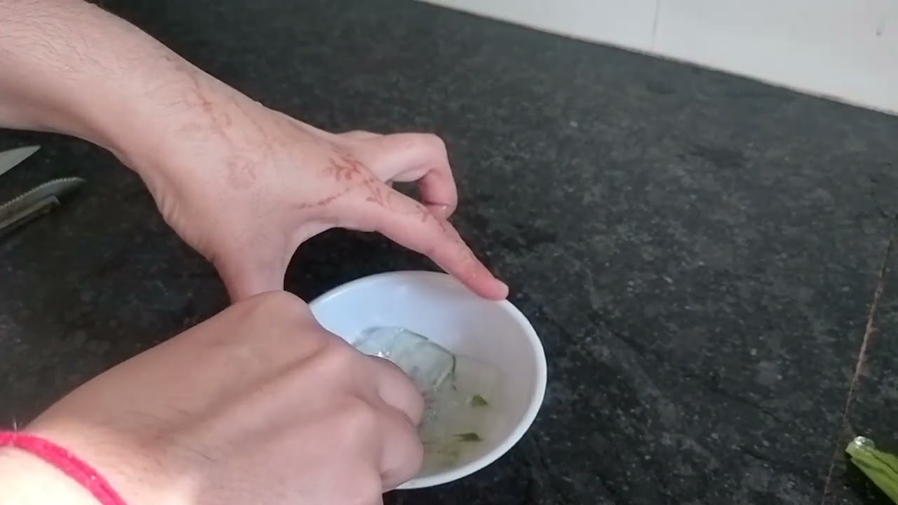 Make pure organic Aloe vera gel at home and preserve for months!